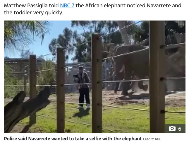 柵を乗り越えて記念撮影しようとした父親（画像は『The Sun　2021年3月21日付「‘A BIG ROAR’ Shock moment huge elephant charges at man who took his toddler daughter INSIDE enclosure at San Diego zoo」（Credit: ABC）』のスクリーンショット）