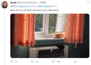 まるで自分の家のようにリラックスしているが、外からやって来た猫だった（画像は『Sarah　2021年3月28日付Twitter「Also not my cat (and removed upon discovery).」』のスクリーンショット）