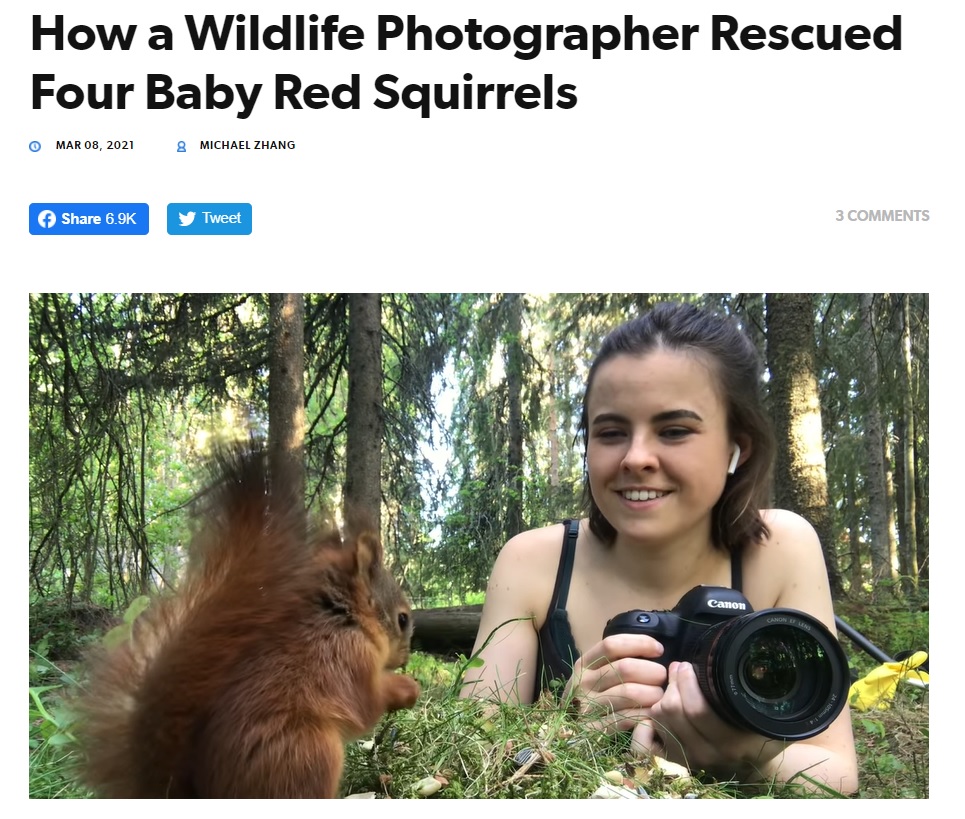 当初、4～6時間森の中で子リスを見守っていた女性写真家（画像は『PetaPixel　2021年3月8日付「How a Wildlife Photographer Rescued Four Baby Red Squirrels」』のスクリーンショット）