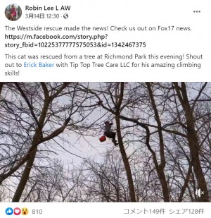 【海外発！Breaking News】地上13メートルの木の上から猫を救った樹木医「まるでニンジャのよう！」（米）＜動画あり＞