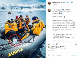 ペンギンはボートで一休みすると、海に帰っていった（画像は『Matt Karsten　2019年4月5日付Instagram「THE GREAT ESCAPE! - Penguin VS Orcas in Antarctica」』のスクリーンショット）