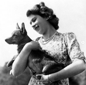 若い頃からコーギー犬を飼い続けてきたエリザベス女王（画像は『The Royal Family　2020年4月17日付Instagram「Today we are marking National Pet Month.」』のスクリーンショット）