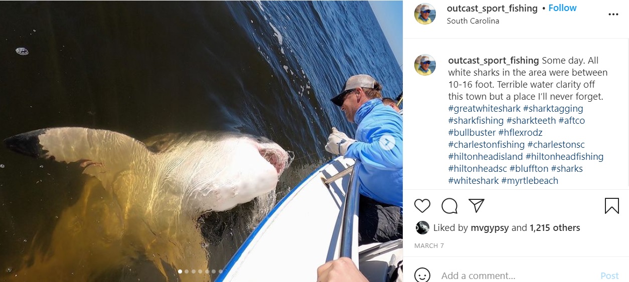 サメの調査をするスタッフ（画像は『Capt. Chip Michalove　2021年3月7日付Instagram「Some day.」』のスクリーンショット）