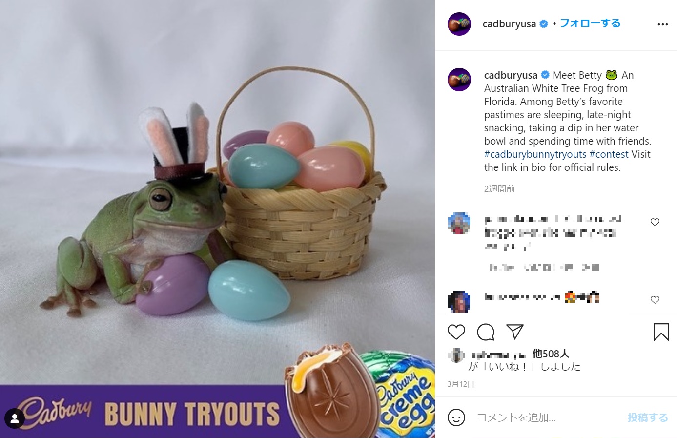 小さなウサギの耳を付けて完璧なポージングを見せたカエル（画像は『Cadbury USA　2021年3月12日付Instagram「Meet Betty An Australian White Tree Frog from Florida.」』のスクリーンショット）