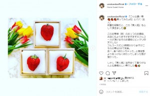神田うのの夫が購入した高級イチゴ（画像は『Uno Kanda　2021年3月13日付Instagram「『こんな凄い苺買ってみたよ』とパパ（主人）」』のスクリーンショット）
