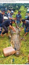 6メートルのワニに丸呑みにされた8歳少年、腹から遺体で発見（インドネシア）