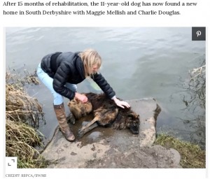 首まで水に浸かっていた犬（画像は『People.com　2021年4月1日付「Dog Thrown in River with Rock Tied Around Her Neck Finds a Loving Home After 15-Month Recovery」（CREDIT: RSPCA/SWNS）』のスクリーンショット）