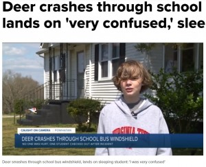 一番前の席に座っていたブレンダン君（画像は『WTVR.com　2021年4月2日付「Deer crashes through school bus windshield, lands on ‘very confused,’ sleepy student」』のスクリーンショット）