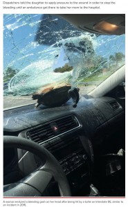 フロントガラスが粉々になるもカメは無事（画像は『New York Post　2021年4月22日付「Woman gashed in the head after turtle crashes through windshield」（Facebook）』のスクリーンショット）