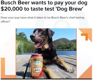 【海外発！Breaking News】犬用ビール開発のために犬の社員を募集　報酬はなんと200万円超（米）＜動画あり＞