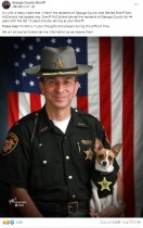 【海外発！Breaking News】世界最小の警察犬、パートナーだった保安官をがんで亡くし数時間後に天国へ（米）