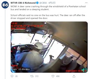 【海外発！Breaking News】走行中のスクールバスに鹿が飛び込む　運転手の冷静な対応で鹿も生徒も無事（米）＜動画あり＞