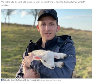 子羊を助けるためすぐさま行動に移したグラントさん（画像は『Daily Post　2021年4月15日付「Tattooists show softer side with ‘Disney-style’ rescue of lamb from tree in North Wales」（Image: Manchester Evening News）』のスクリーンショット）