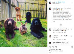 ウサギの“プレッツェルくん”と愛犬達（画像は『James Middleton　2021年4月5日付Instagram「Happy Easter from my family to yours」』のスクリーンショット）