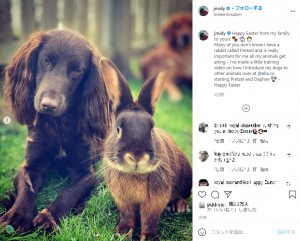 愛犬の“ナラちゃん”とウサギの“プレッツェルくん”（画像は『James Middleton　2021年4月5日付Instagram「Happy Easter from my family to yours」』のスクリーンショット）