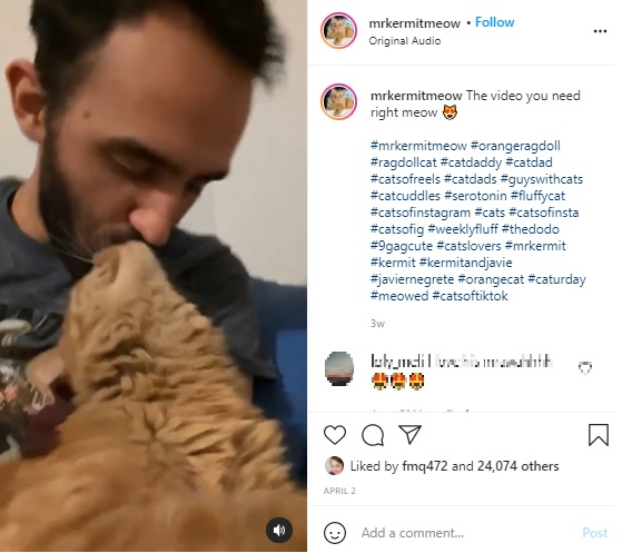 キスをするカーミットとハビエルさん（画像は『Javie ＆ Mr. Kermit　2021年4月2日付Instagram「The video you need right meow」』のスクリーンショット）