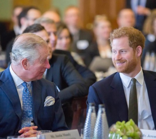 約1年ぶりに父チャールズ皇太子と再会したヘンリー王子（画像は『Clarence House　2018年2月14日付Instagram「Today The Prince of Wales hosted a meeting in London to discuss how organisations can work to improve coral reef health.」』のスクリーンショット）