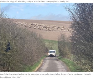 いつもは騒がしい羊たちが大人しかったというのも不気味だ（画像は『London News Time　2021年4月10日付「The mystery of hundreds of sheep standing in a circle in the field」（Jam Press）』のスクリーンショット）