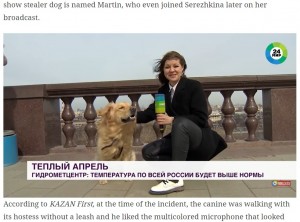 【海外発！Breaking News】お天気リポーターのマイクを奪ったいたずら犬の映像が世界中に拡散（露）＜動画あり＞