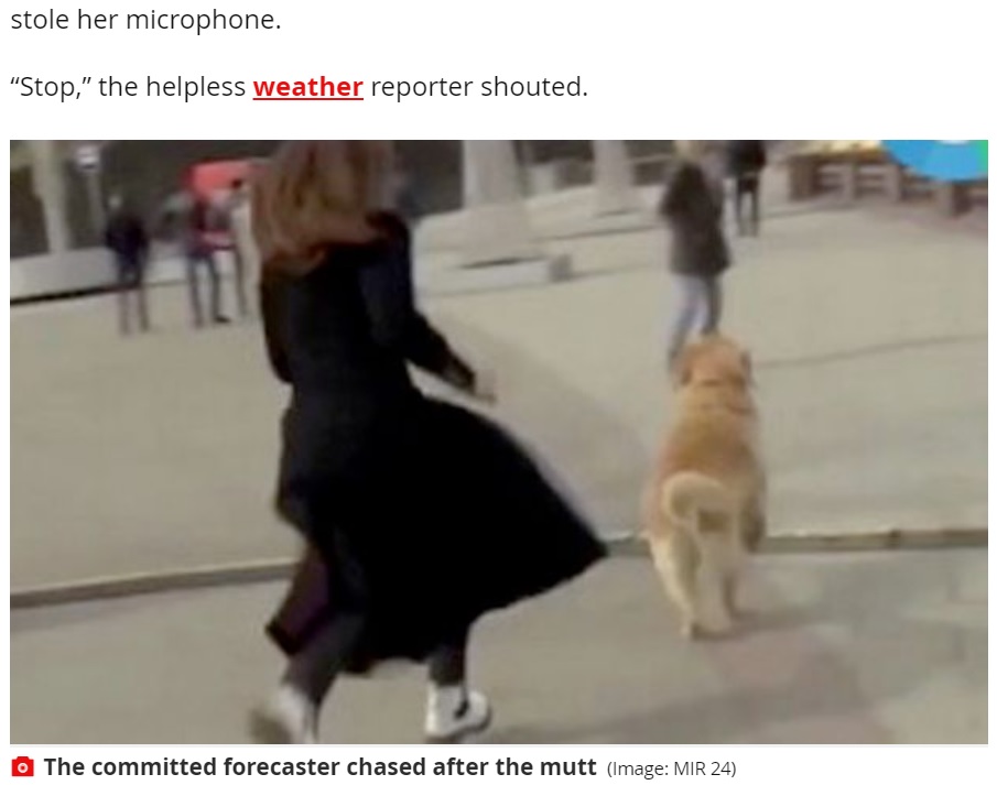 マイクを奪った犬を追いかけるナジェジダさん（画像は『Mirror　2021年4月3日付「Cheeky dog grabs journalist’s microphone during live TV report and runs off」（Image: MIR 24）』のスクリーンショット）