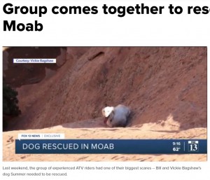 大人しく崖下で救助を待っていたサマー（画像は『fox13now.com　2021年3月29日付「Group comes together to rescue dog in Moab」』のスクリーンショット）