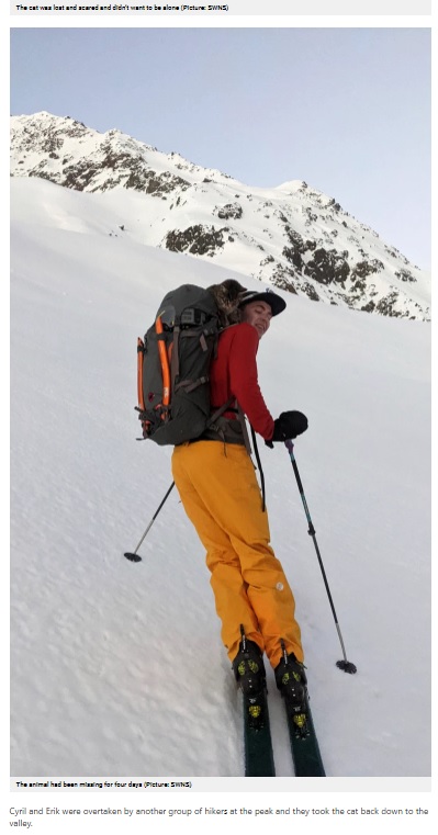 動けなくなってしまった猫をリュックの上に乗せて頂上を目指したシリルさん（画像は『Metro　2021年4月19日付「Lost cat follows hikers to top of 10,000 ft mountain」（Picture: SWNS）』のスクリーンショット）