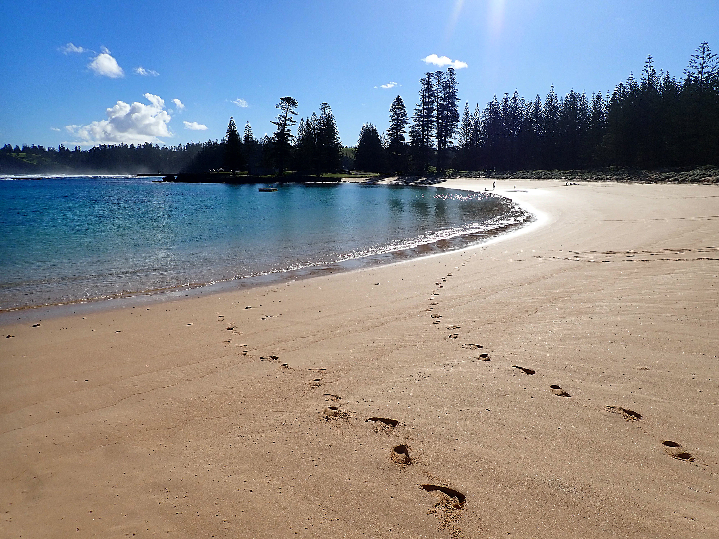 美しいノーフォーク島・エミリー湾（画像は『Norfolk Island’s Reef　2021年5月11日付「WHEN PLASTIC （AND GOLD WEDDING） RINGS ESCAPE INTO THE WILD」（Credit: www.norfolkislandtime.com.au）』のスクリーンショット）
