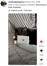 【海外発！Breaking News】ノートパソコンの上を陣取る“猫あるある”を止めさせるアイデアに「うちの子にも必要」と称賛の声（米）