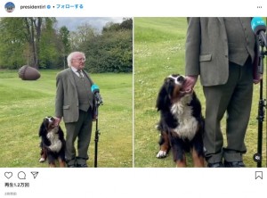 【海外発！Breaking News】アイルランド大統領、生後6か月の子犬に甘噛みされながらも真顔で会見を続ける＜動画あり＞