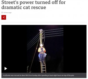【海外発！Breaking News】高さ10メートルの電柱の上で助けを求める猫　救出のため地域は一時停電に（英）＜動画あり＞
