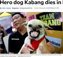 【海外発！Breaking News】少女2人を救い顔の半分を失ったヒーロー犬、事故から10年後に亡くなる（フィリピン）＜動画あり＞
