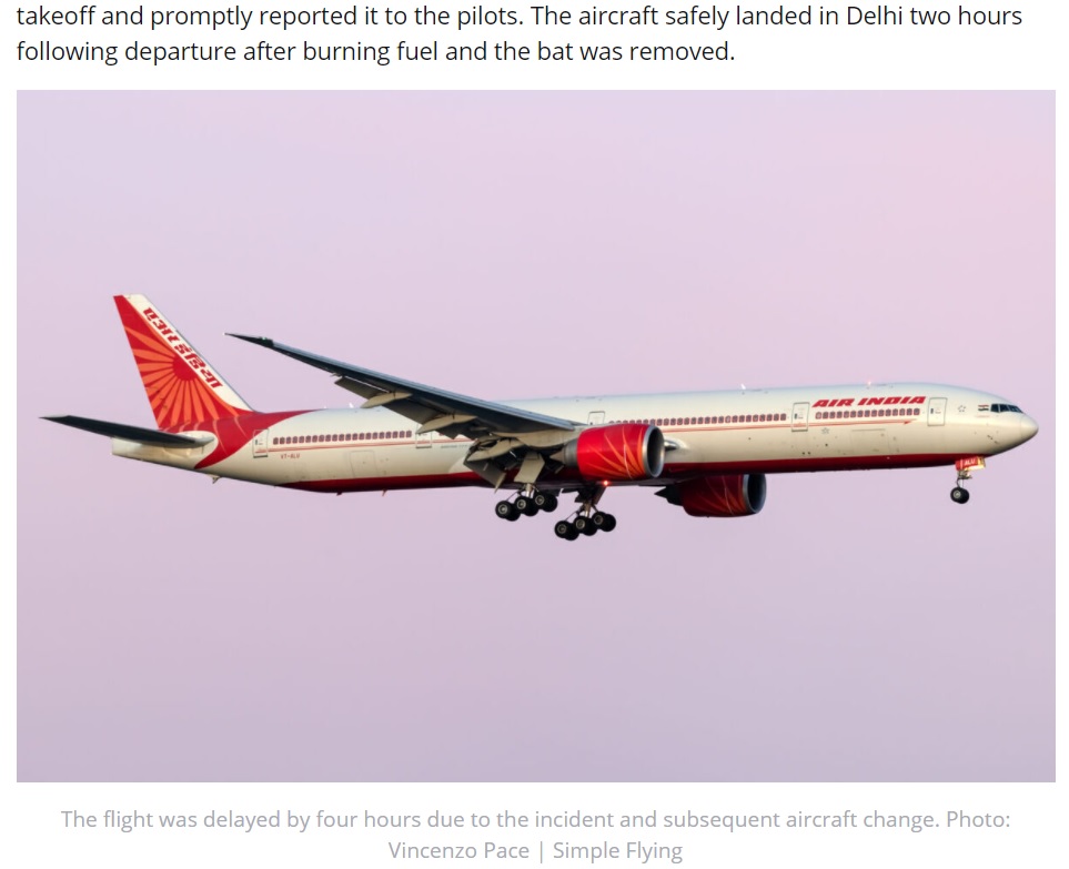 1匹のコウモリによりエア・インディアの旅客機が出発地に引き返す（画像は『Simple Flying　2021年5月30日付「Bat In Business Class Forces Air India Newark Flight To Return To Delhi」（Photo: Vincenzo Pace | Simple Flying）』のスクリーンショット）