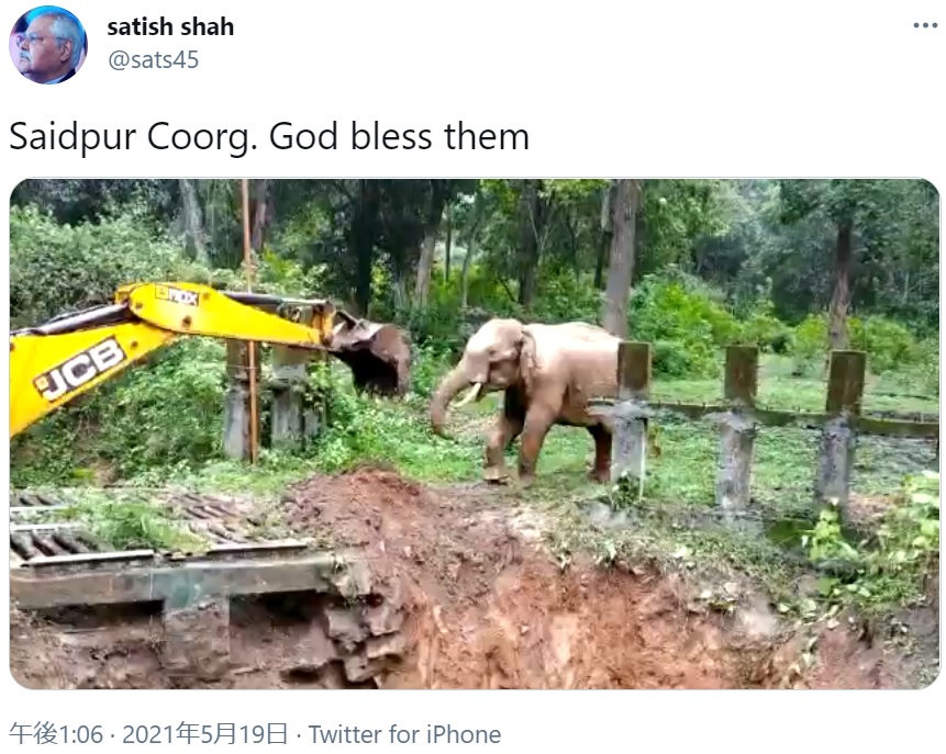 ショベルカーが助けてくれたことを理解しているかのようなゾウ（画像は『satish shah　2021年5月19日付Twitter「Saidpur Coorg. God bless them」』のスクリーンショット）