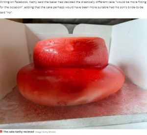 【海外発！Breaking News】息子の婚約祝いのケーキ　鏡餅のような赤い物体に「これは大きな吹き出物？」（英）