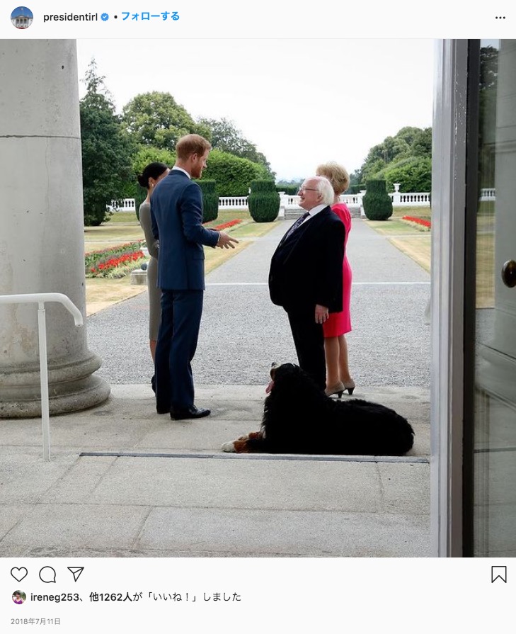ヘンリー王子とメーガン妃を出迎えた際も愛犬とともに（画像は『President Michael D. Higgins　2018年7月11日付Instagram「www.president.ie ＃ÁrasAnUachtaráin」』のスクリーンショット）