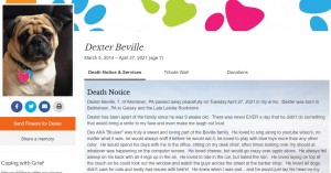デクスターのオンライン死亡記事（画像は『Judd-Beville Funeral Home, Inc.　「Dexter Beville」』のスクリーンショット）