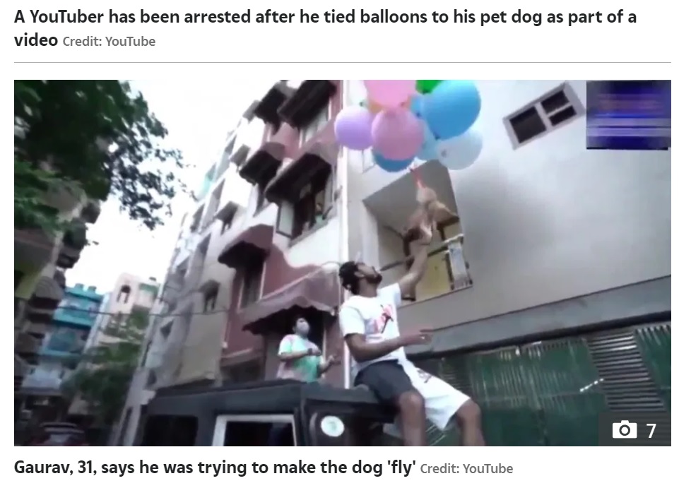 ベランダの手すりにぶつかってしまった犬（画像は『The Sun　2021年5月27日付「RUFF RIDE Indian YouTuber arrested for tying balloons to pet dog to make it fly for cruel video stunt」（Credit: YouTube）』のスクリーンショット）