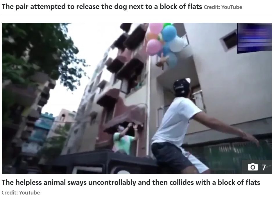 カウントダウンをしてダラーを空中へ飛ばしたゴーラヴ（画像は『The Sun　2021年5月27日付「RUFF RIDE Indian YouTuber arrested for tying balloons to pet dog to make it fly for cruel video stunt」（Credit: YouTube）』のスクリーンショット）