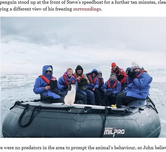 ボートの先端に10分ほど留まっていたペンギン（画像は『ARY News　2021年5月23日付「WATCH! ‘Lonely’ penguin hops on board tourist boat in Antarctica」』のスクリーンショット）