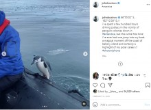 【海外発！Breaking News】ひとりぼっちのペンギン、南極のツアーボートに飛び乗る＜動画あり＞