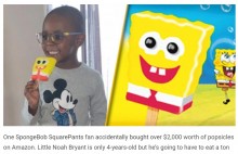 アマゾンで918本のアイスキャンディを注文してしまった4歳児　請求金額は28万円に（米）