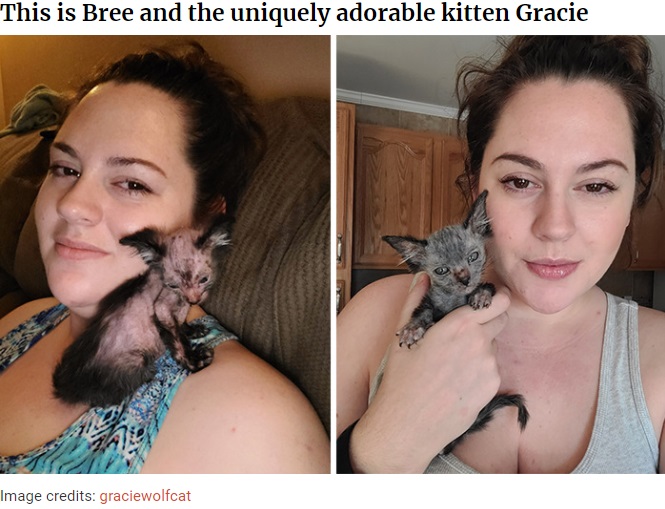 グレイシーを可愛がるブリアナさん（画像は『Bored Panda　2021年5月11日付「Owners Thought Their Kitten Was Sick, Found Out That Gracie Is Actually A Wolfcat」（Image credits: graciewolfcat）』のスクリーンショット）