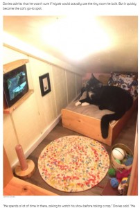 ベッドの上からでもテレビを見ることが可能（画像は『The Dodo　2021年4月24日付「Guy Transforms Space Behind Wall Into Bedroom For His Cat」（BRYAN DAVIES）』のスクリーンショット）