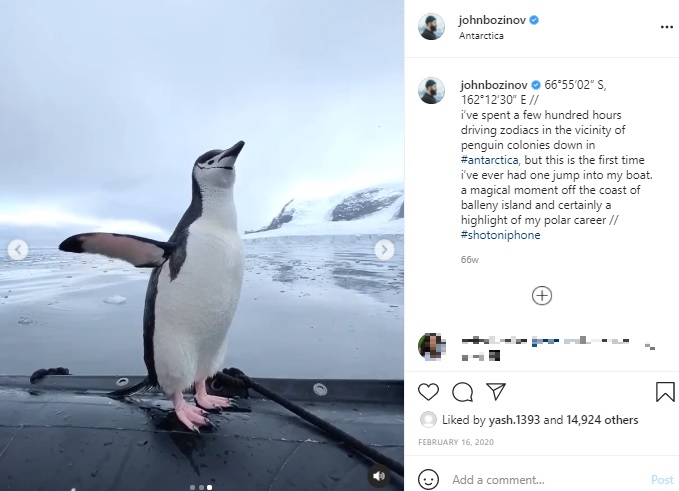 羽を広げるペンギン（画像は『john bozinov　2020年2月16日付Instagram「66°55’02” S」』のスクリーンショット）