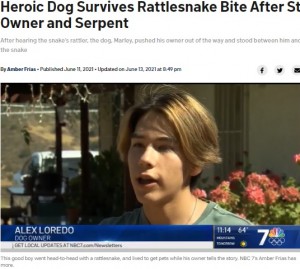 インタビューに応じるアレックスさん（画像は『NBC 7 San Diego　2021年6月13日付「Heroic Dog Survives Rattlesnake Bite After Stepping Between Owner and Serpent」』のスクリーンショット）