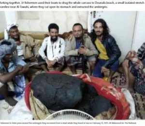 【海外発！Breaking News】イエメンの漁師、クジラの死骸から約1億6500万円の「龍涎香」発見で生活が一変＜動画あり＞