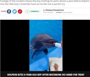 イルカに右手を噛まれる男児（画像は『Mirror　2021年6月9日付「Dolphin viciously bites boy, 6, after mistaking hand for treat as he stood over pool」（Image: Tpacca E-95/Twitter）』のスクリーンショット）