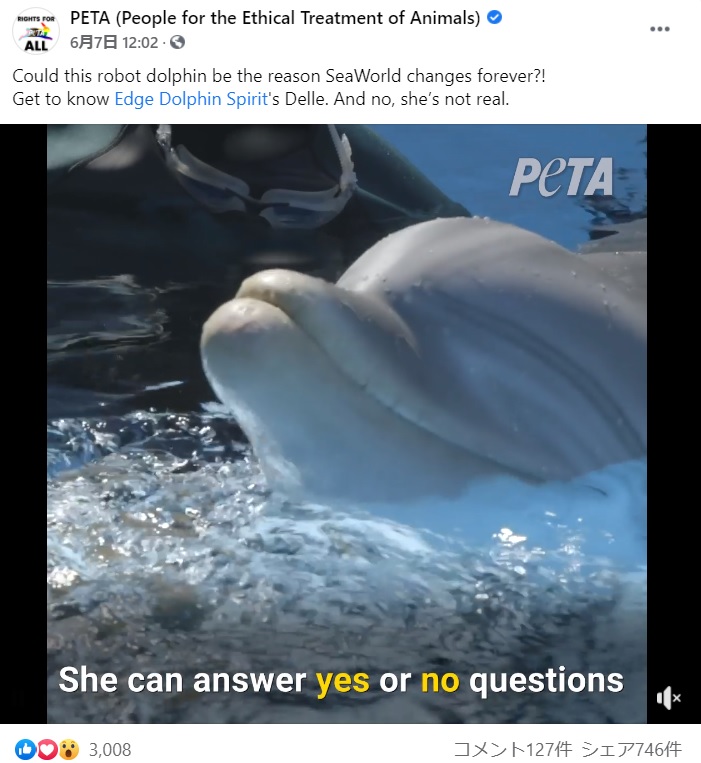 水面から顔を覗かせる愛らしい姿も本物そっくり（画像は『PETA（People for the Ethical Treatment of Animals）　2021年6月7日付Facebook「Could this robot dolphin be the reason SeaWorld changes forever?!」』のスクリーンショット）