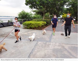 犬とともにカニが散歩（画像は『Coconuts Singapore　2021年6月22日付「Claws out: Animal groups check on House of Seafood’s crabby walk stunt」（Photos: House of Seafood）』のスクリーンショット）