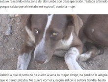 【海外発！Breaking News】3週間前に炭鉱事故で亡くなった飼い主を毎日探しに行く犬（メキシコ）＜動画あり＞